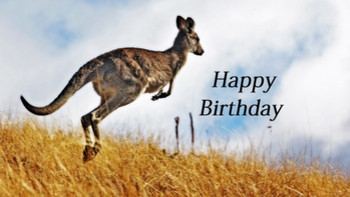 Birthday jumping kangaroo wish