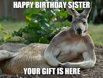 Birthday memes for sister wishesgreeting