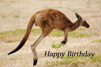 Happy birthday wishes with kangaroo