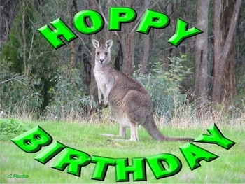 Happy birthday kangaroo happy happy birthday to roo oops ...