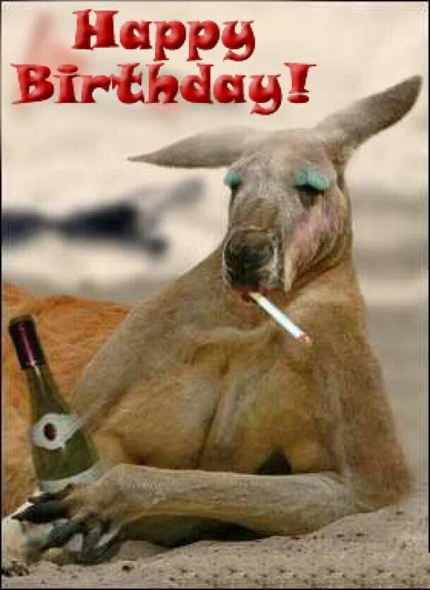 Happy birthday images with Kangaroo💐 — Free happy bday pictures and
