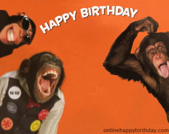 Happy birthday monkey google search birthday cards pinter...