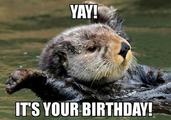 Sea otter birthday birthday pinterest otters