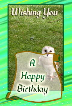 A happy birthday owl free birthday wishes ecards greeting