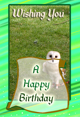 A happy birthday owl free birthday wishes ecards greeting