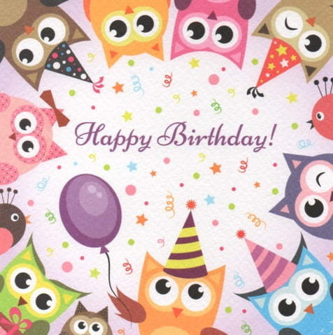 Happy birthday owls postcard garden