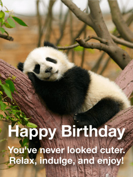 Adorable panda happy birthday card birthday amp greeting ...