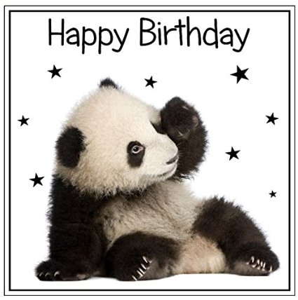 Buy panda happy birthday square cake topper edible sugar