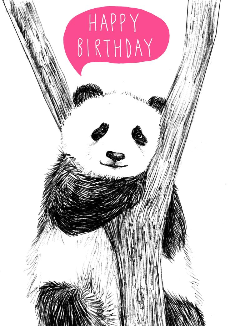 Drawn panda birthday card pencil and in color drawn panda
