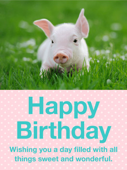 Precious pig happy birthday card birthday amp greeting ca...