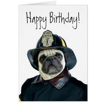 Happy birthday fireman pug greeting card