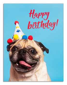 Happy birthday pug card blusys creative