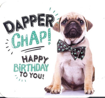 Dapper pug birthday card i love pugs