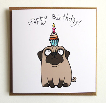 Happy birthday confused pug cupcake greeting card birthday