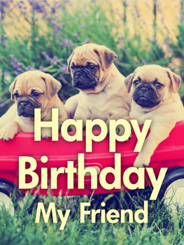 Three best pug friends happy birthday card birthday amp g...