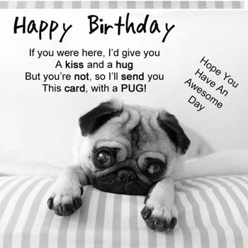 Happy birthday dog wishes luxury happy birthday dog archi...