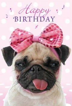 Birthday pug wishes pinterest birthday pug and birthday i...