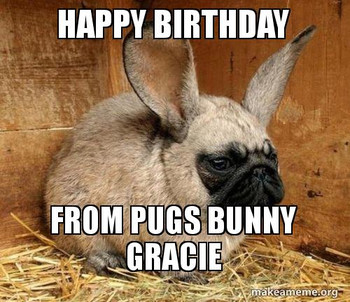 Happy birthday from pugs bunny gracie make a meme