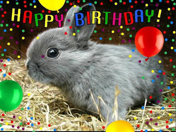 Happy birthday pictures with rabbits happy birthday honey...