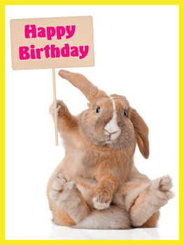 Adorable bunny happy birthday card birthday amp greeting ...