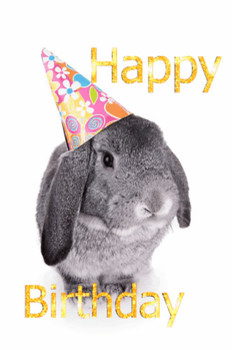 Birthday bunny via giphy bunny love pinterest bunny