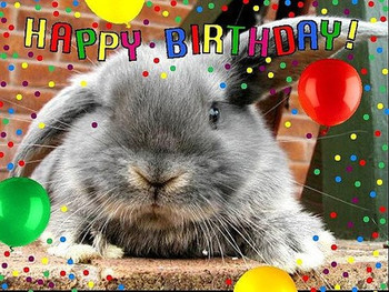 Happy birthday peppypoo house rabbit