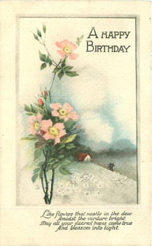 A happy birthday wild rose amp rural inset tuckdb postcards