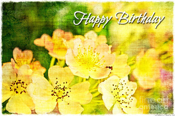 Missouri wildflower mix happy birthday card photograph by