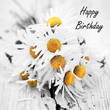 Jnc happy birthday greetings card daisy wild flower bouquet