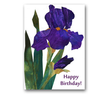Birthday card purple iris x springtime