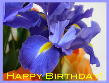 Send a healing time books e card happy birthday dutch iris