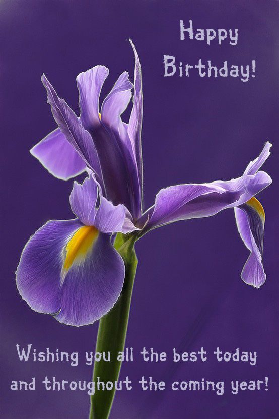 Happy birthday images with Irises💐 — Free happy bday pictures and