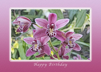 Happy birthday pink orchids photograph by michael peychich