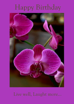 Birthday quotes happy birthday with pink orchid omg quotes