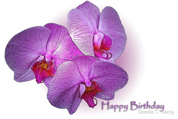 Happy birthday orchids posters by bonnie t barry redbubble