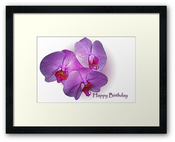 Happy birthday orchids framed prints by bonnie t barry re...
