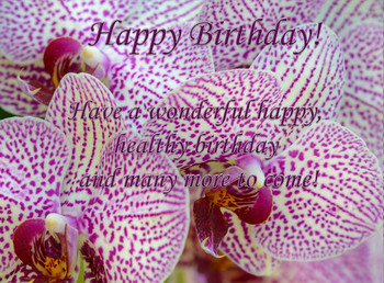 Happy birthday card with orchidsub gallery yopriceville h...