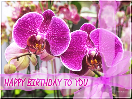 Happy birthday images with Orchids💐 — Free happy bday pictures and ...