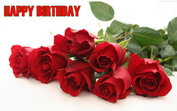 Happy birthday red roses wallpapers