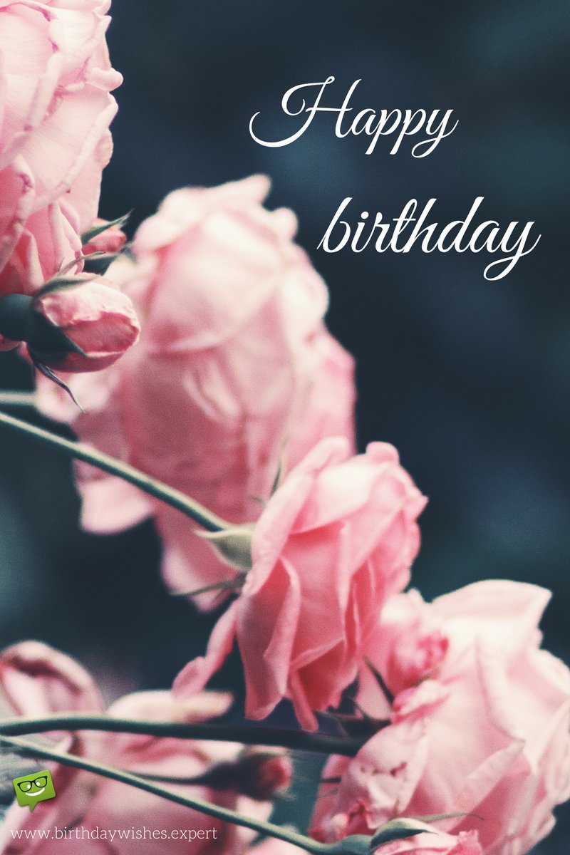 Happy birthday on image with elegant pink roses blog desc...