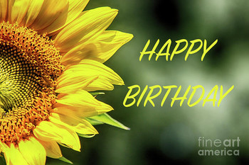 Happy birthday sunflowers photograph by tom gari gallery ...