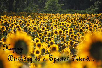 Happy birthday special friend sunflowers greeting card by