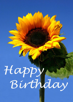 Sun flower happy birthday greeting card moggies and more