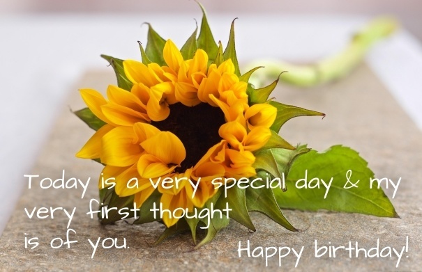 Happy Birthday Images With Sunflowers Free Happy Bday Pictures And Photos Bday Card Com