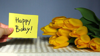 Happy birthday words with tulips flowers footage