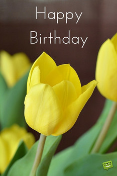 Happy birthday images that make an impression yellow tulips