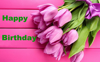 Happy birthday wishes with pink tulip wallpaper