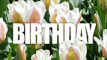 Happy birthday animated text with tulips stock footage vi...