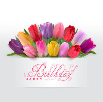 Happy birthday card with red tulips royalty free vector