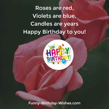 Funny birthday wishes quotes meme amp images